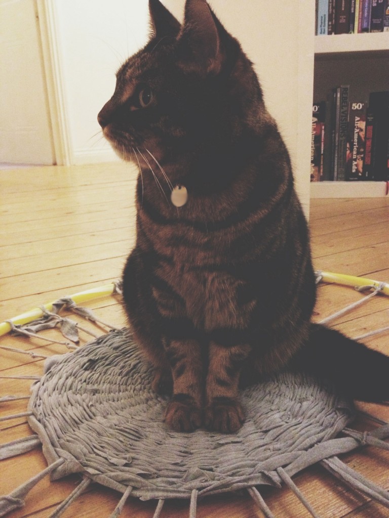 hanselrug