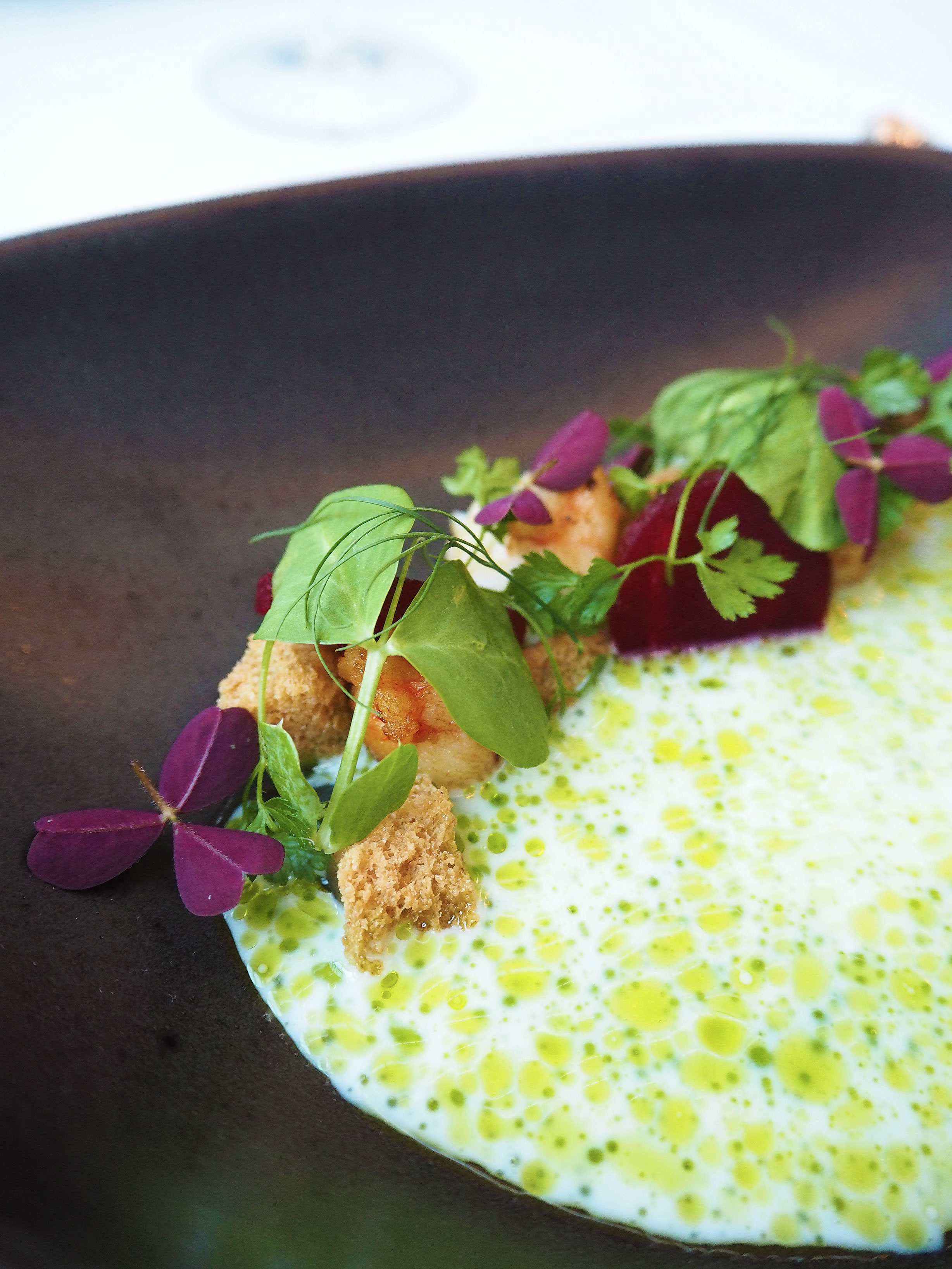 Central Kitchen Copenhagen - Buttermilk-Beetroot-Norweigan Lobster