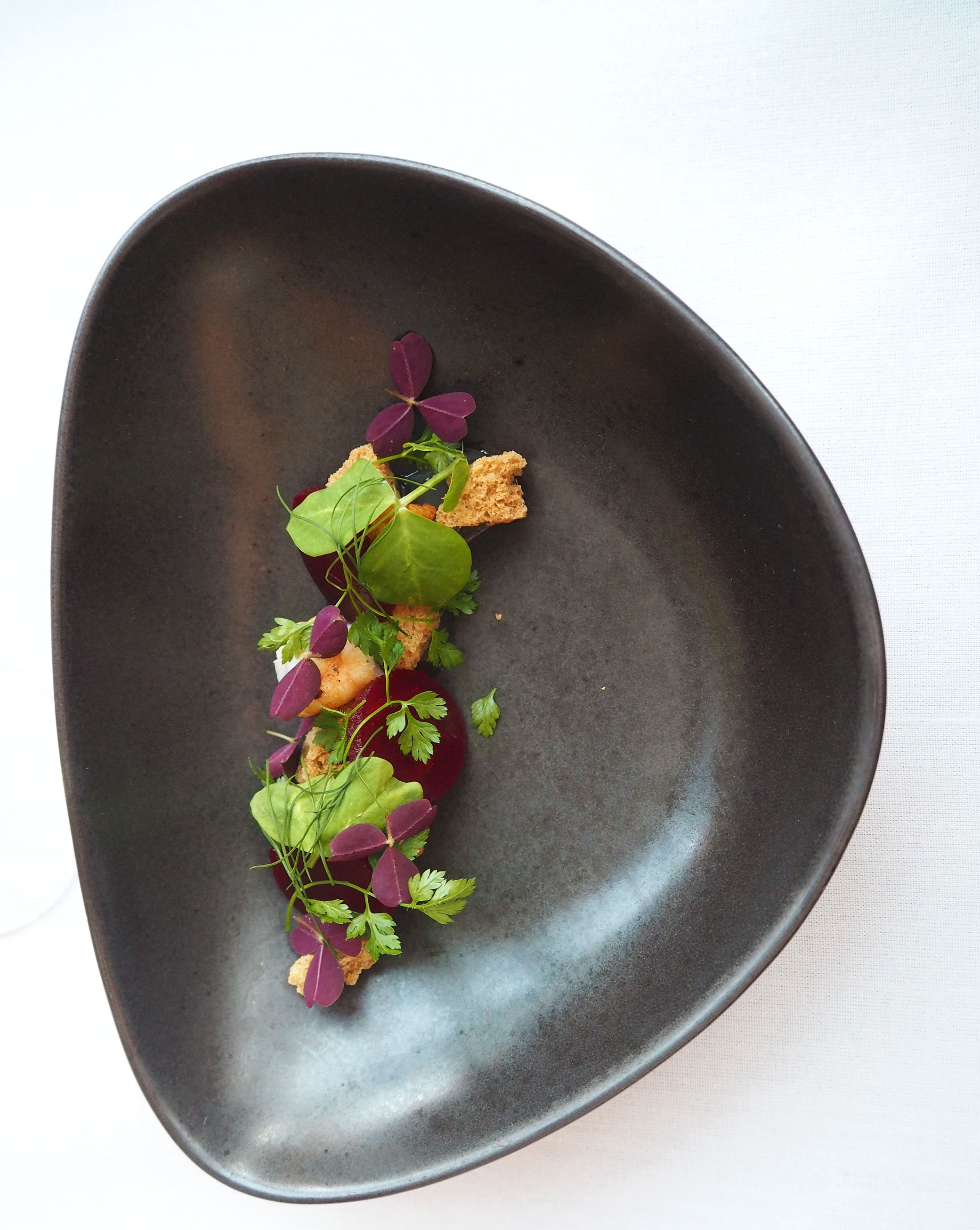 Central Kitchen Copenhagen - Buttermilk-Beetroot-Norweigan Lobster