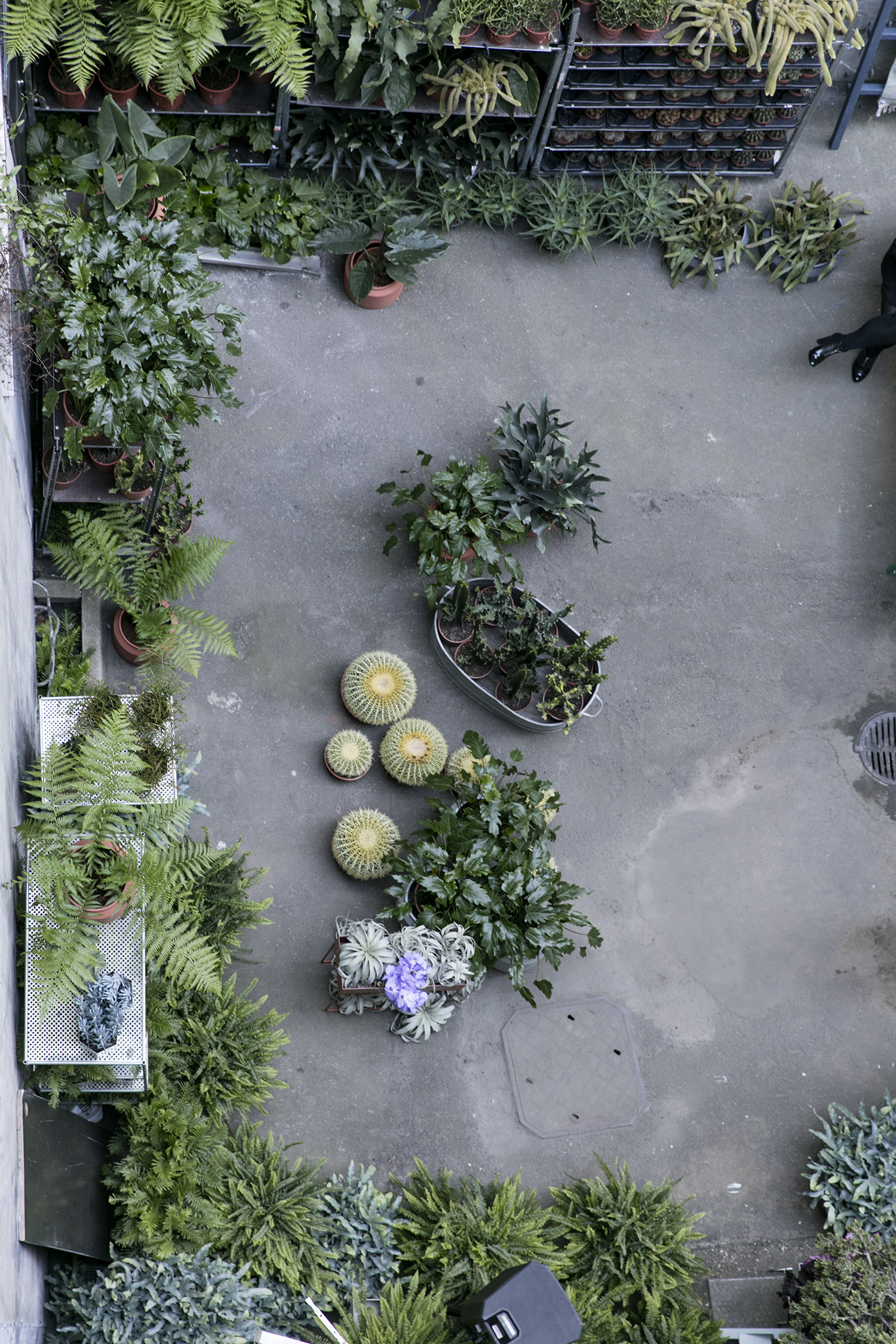 ferm LIVING pop up shop