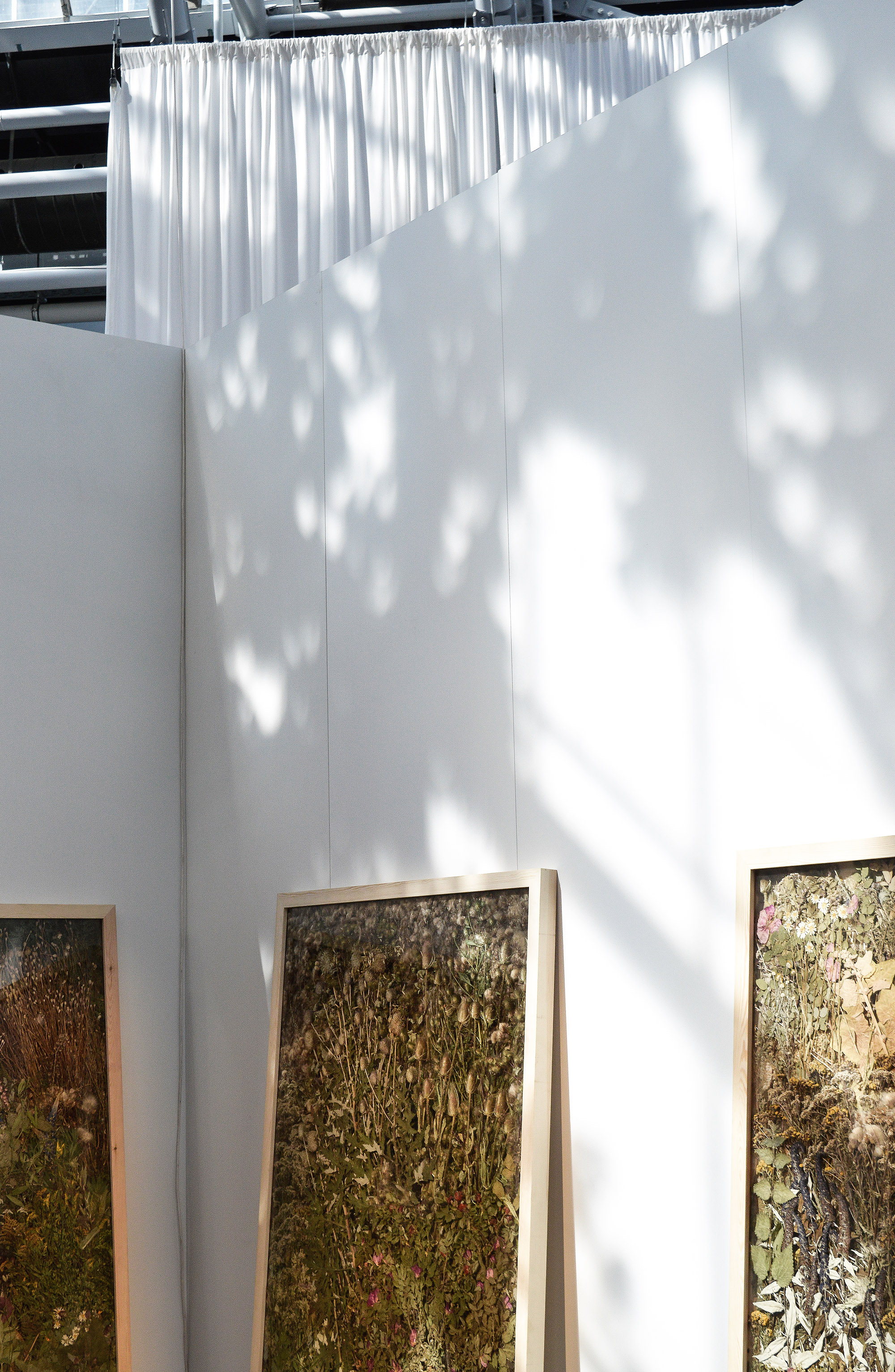 Weeds by Forms in Nature weeds by Forms in Nature, Copenhagen design northmodern