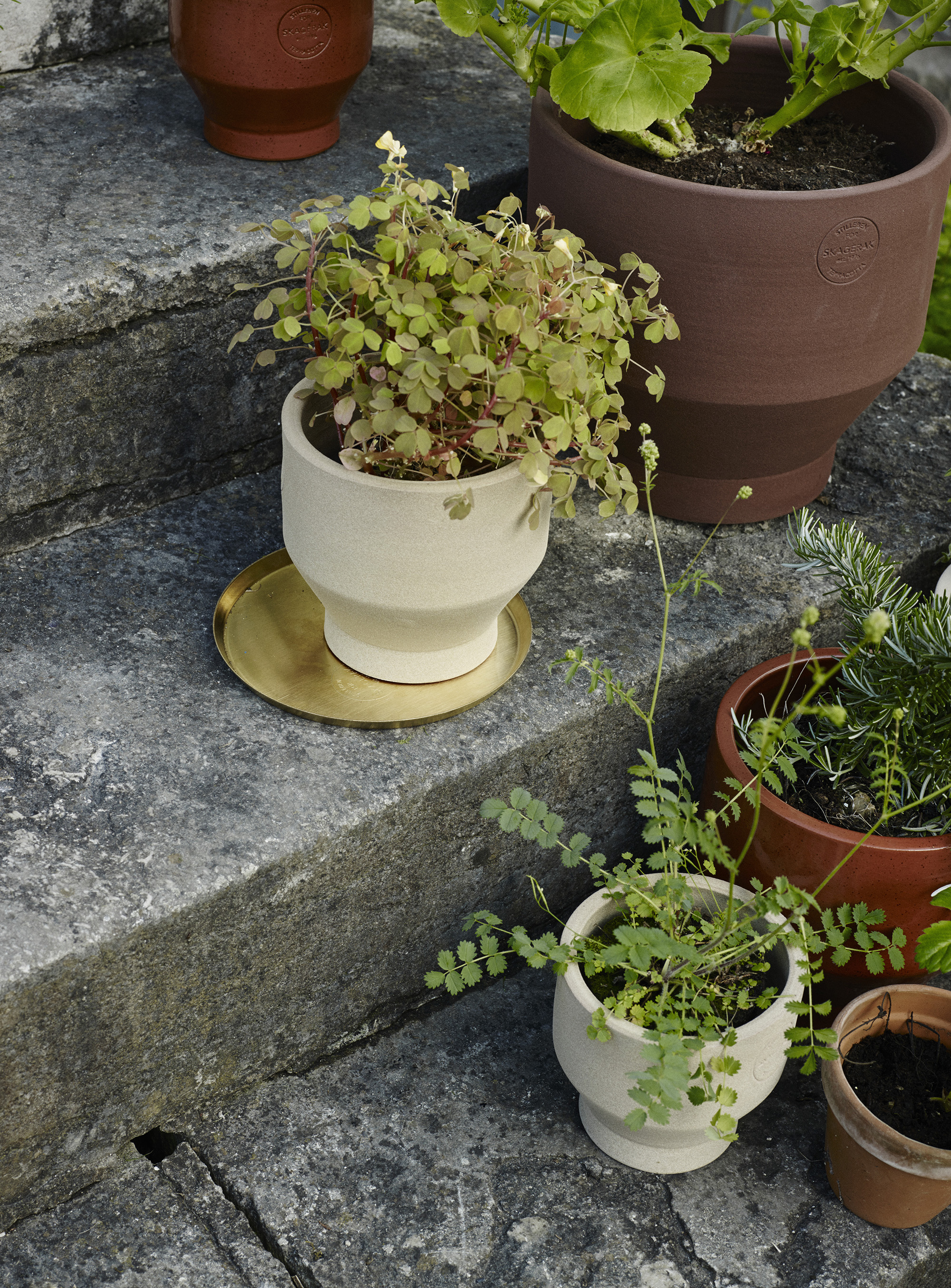 edge-brass-plate-o25