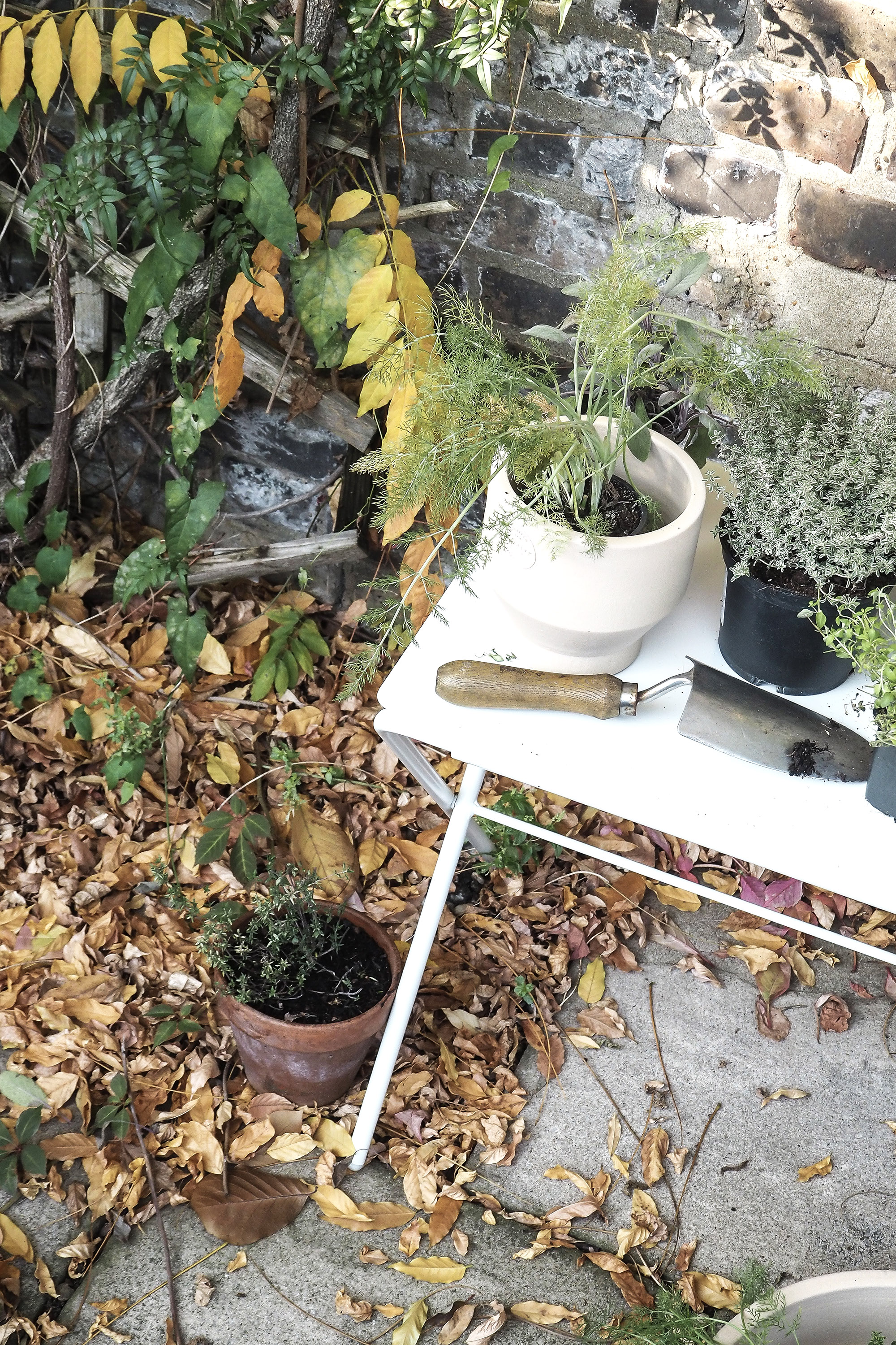 weekend project | planting a herb garden