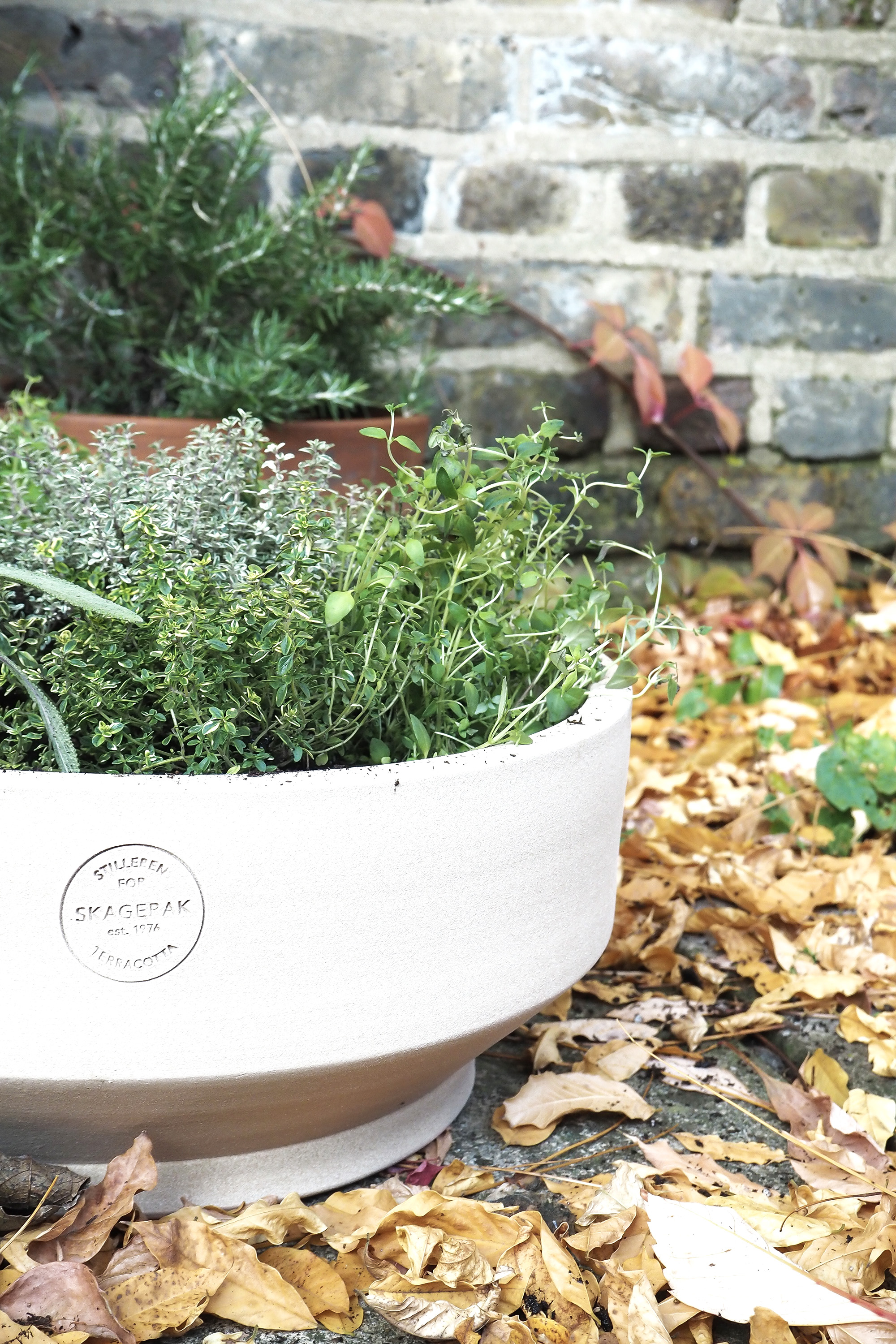 weekend project | planting a herb garden