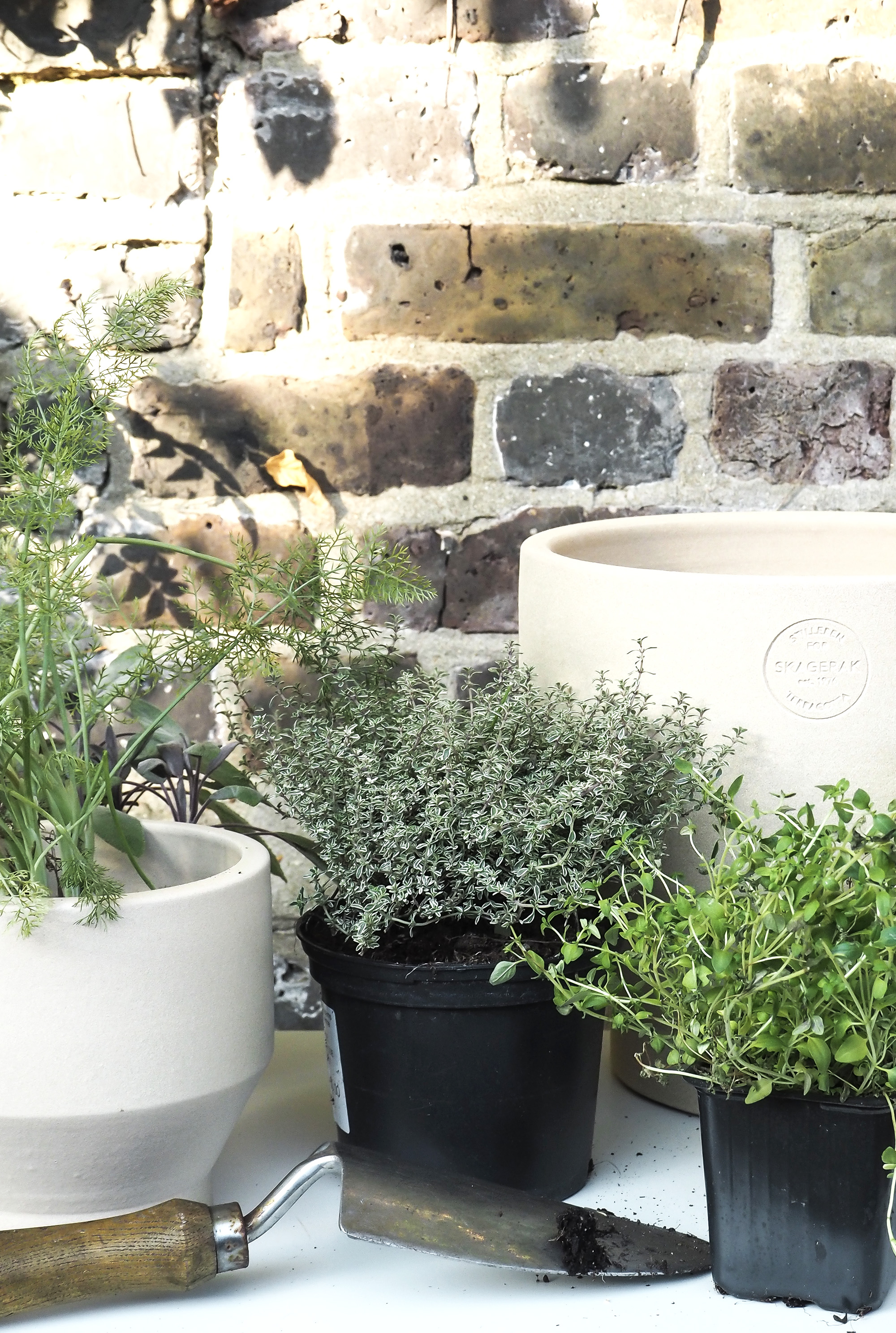 weekend project | planting a herb garden