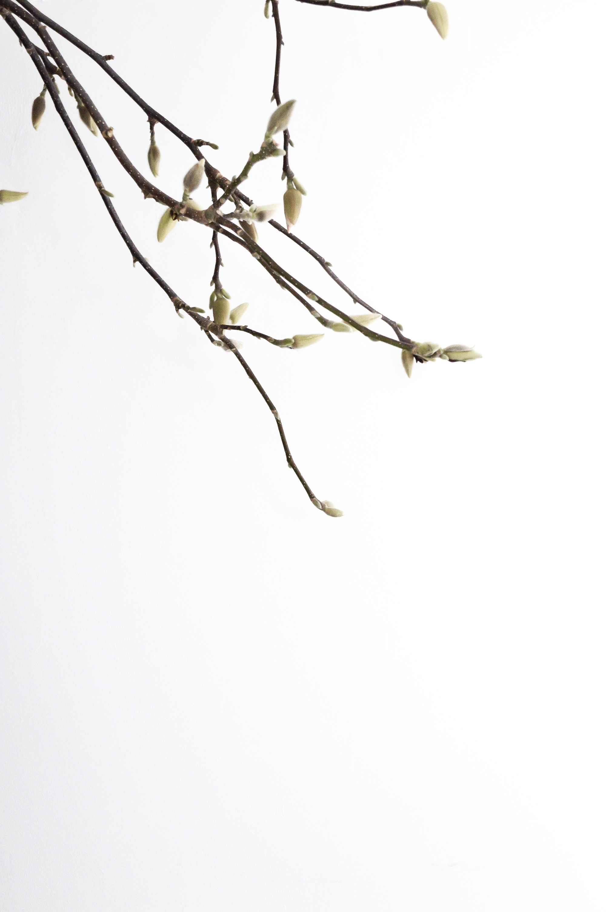 Springtime hygge with Danish morsø cookware