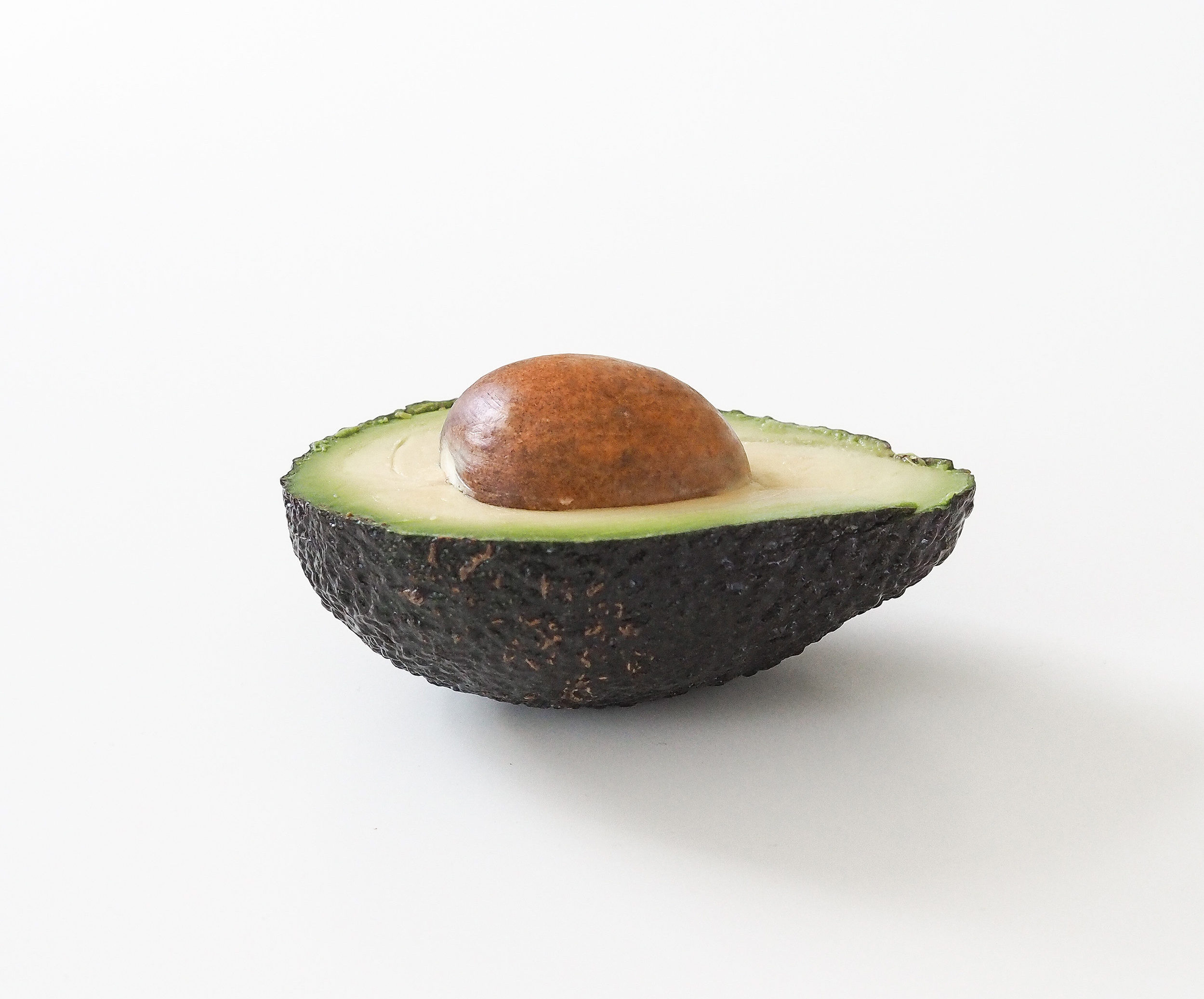 How to grow an avocado plant