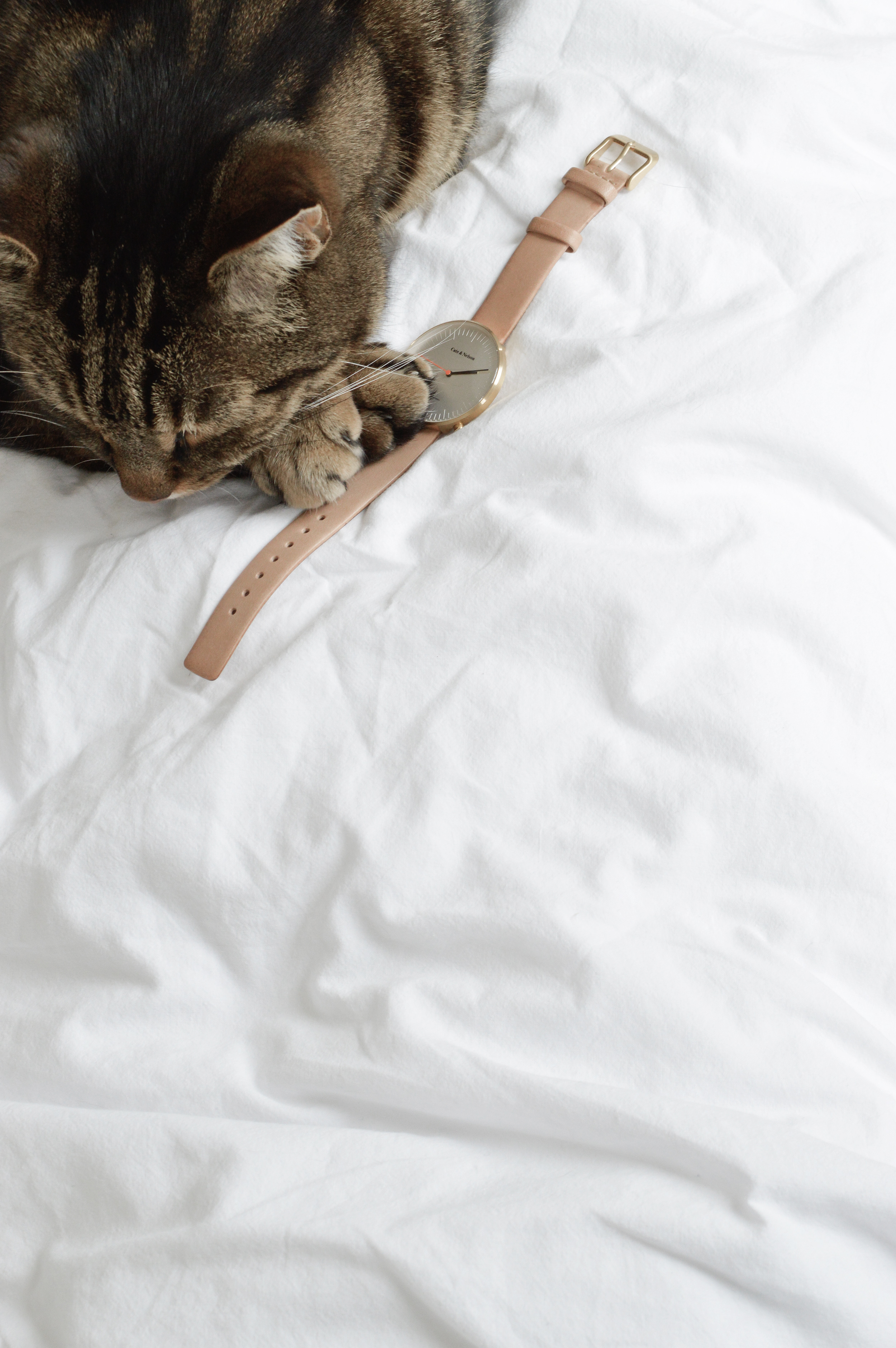 Cate & Nelson watches 