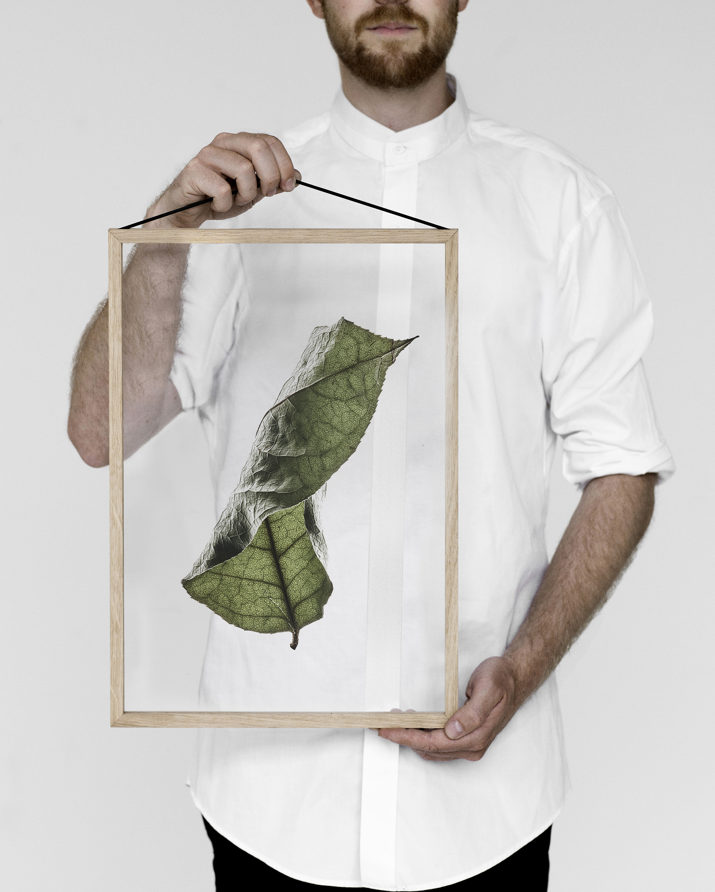 Botanical prints and Scandinavian frames. Moebe presents Floating Leaves by Norm Architects and Paper collective