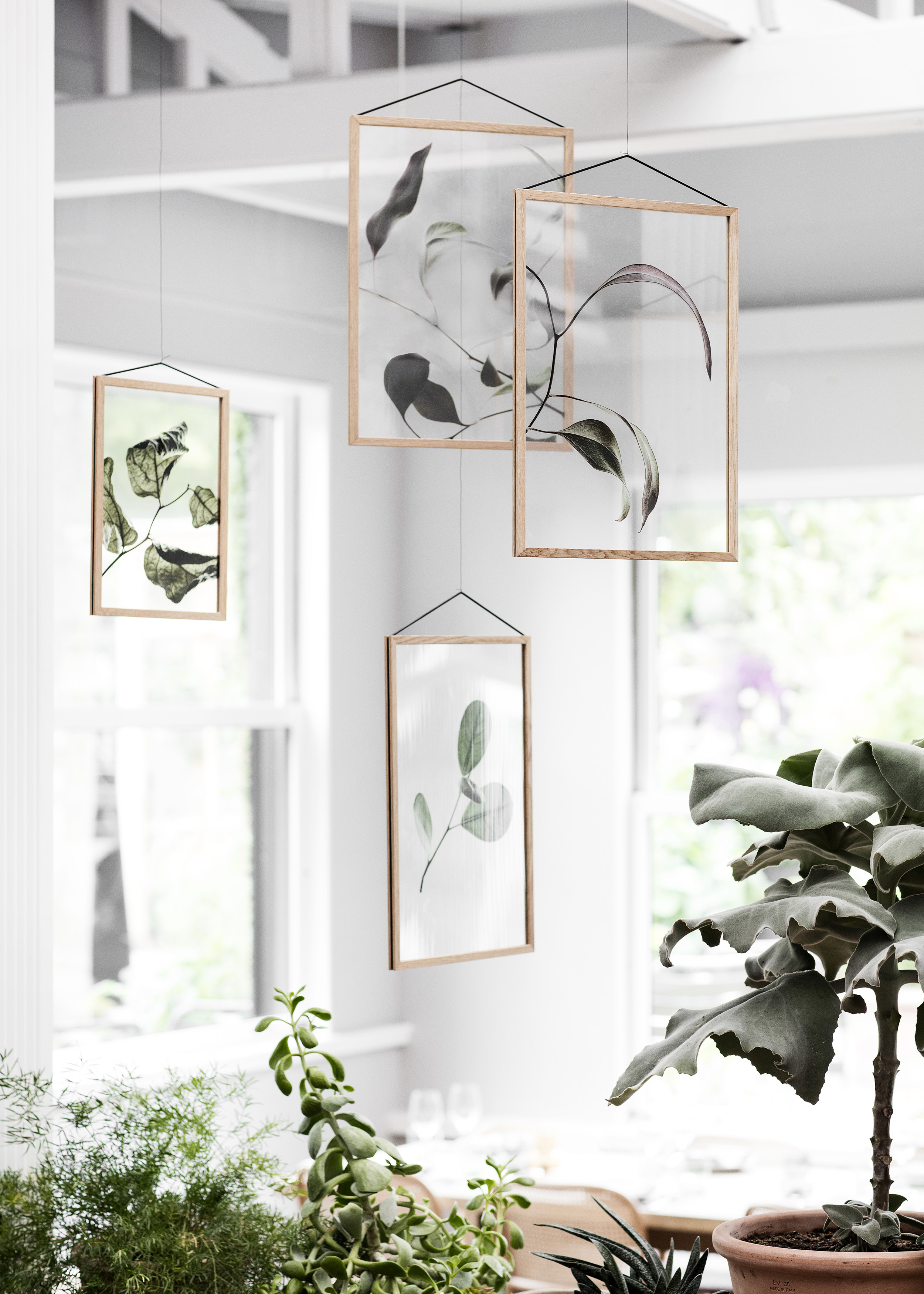 Moebe presents Floating Leaves by Norm Architects and Paper collective, botanical prints, 