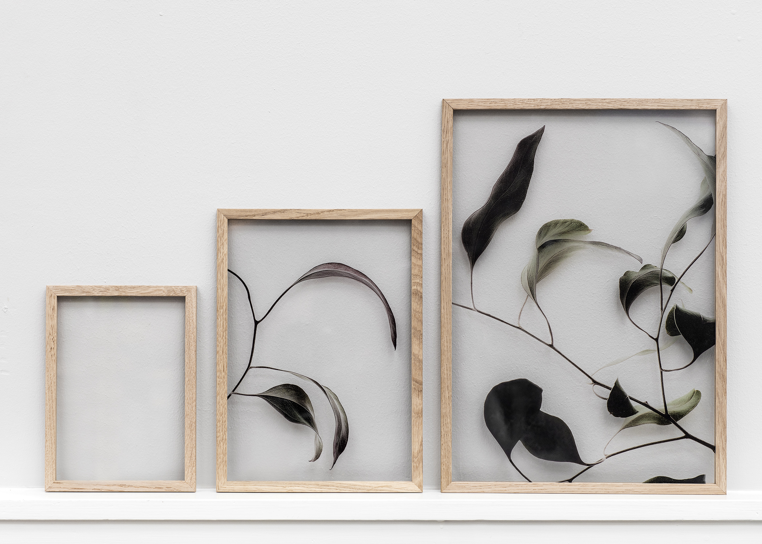 Botanical prints and Scandinavian frames. Moebe presents Floating Leaves by Norm Architects and Paper collective