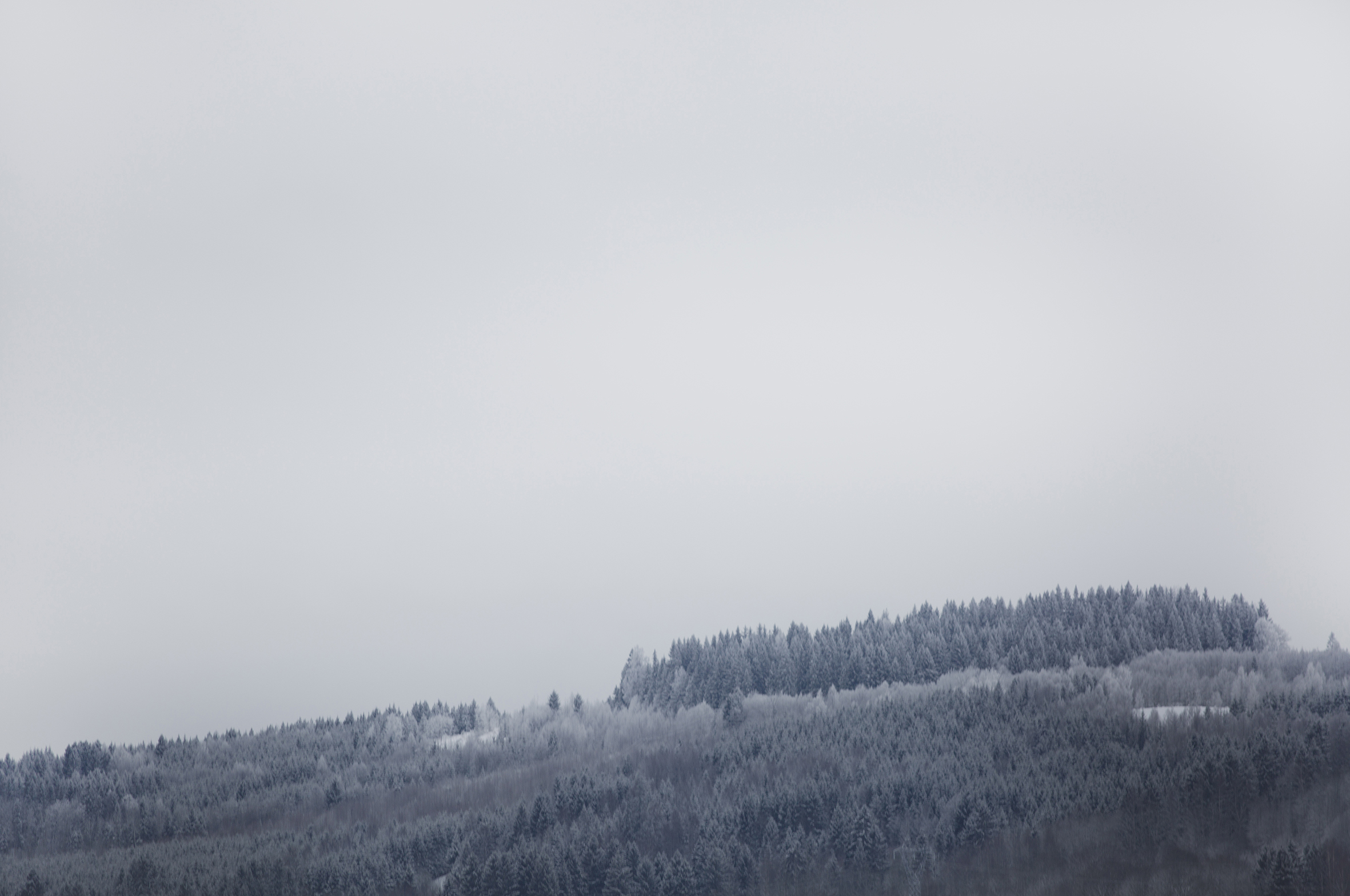 Gjøvik house designed by Norm Architects , Norwegian minimal home