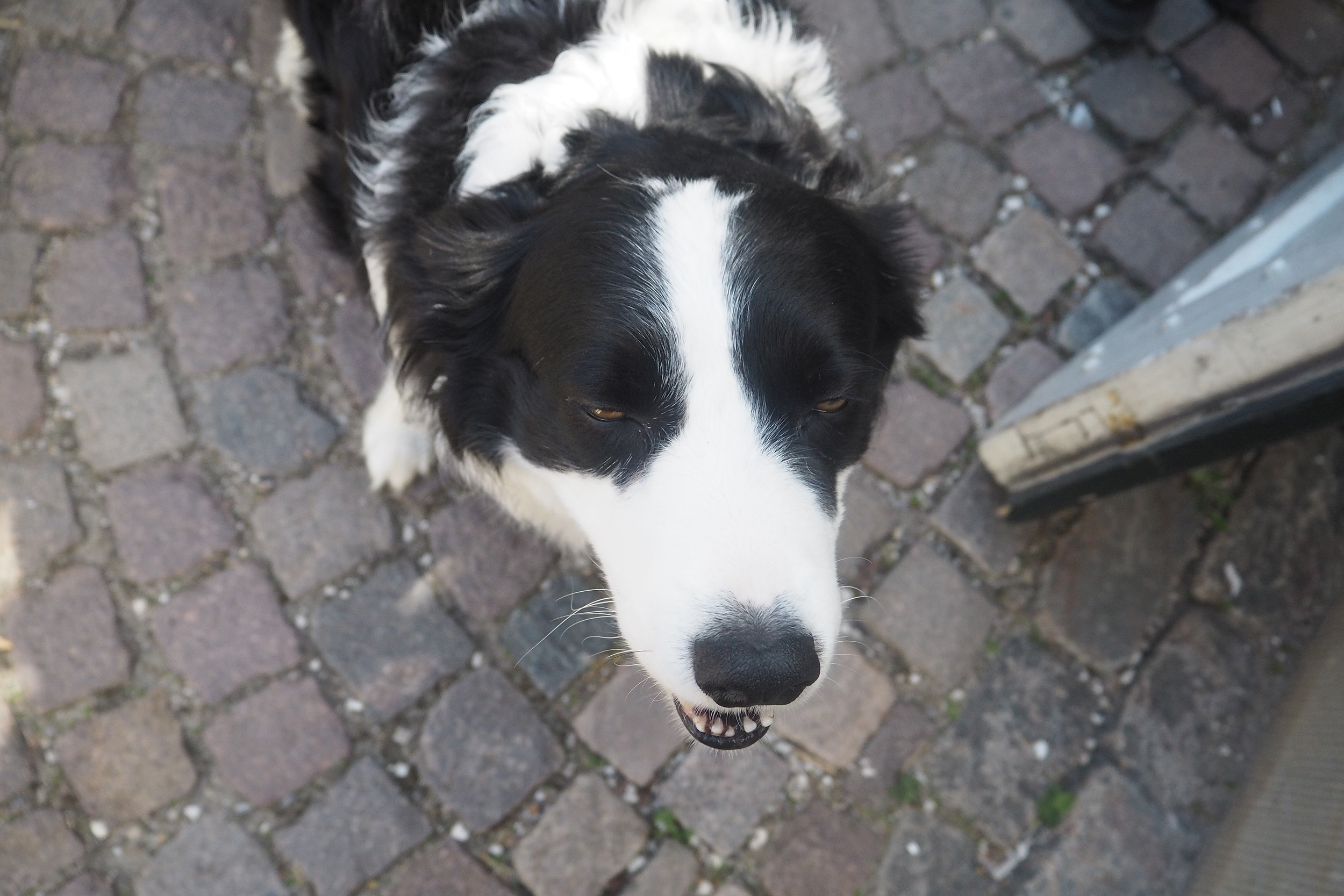 3 days of design - the danish design festival 