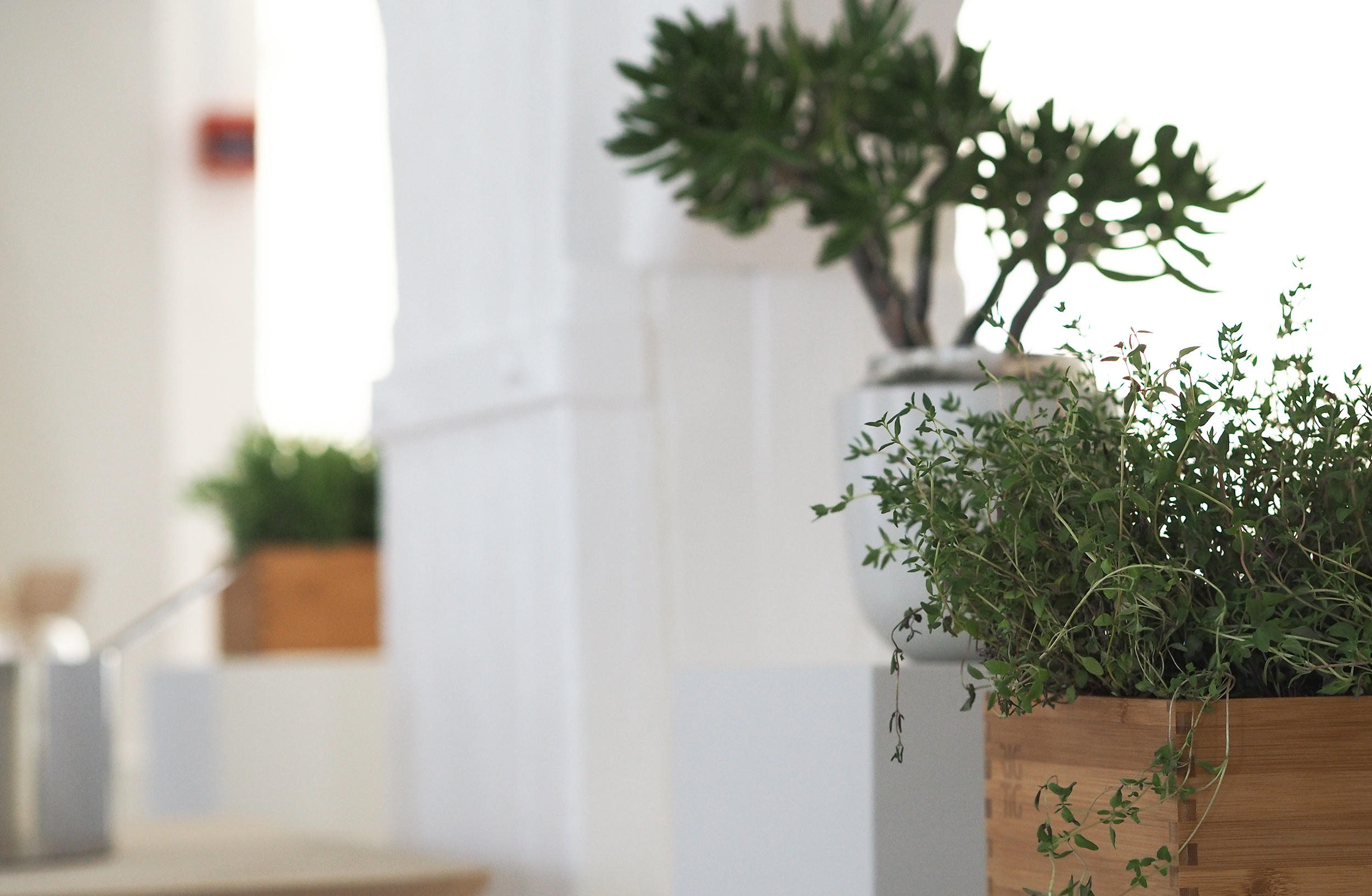 Styling for Stelton during 3 days of Design