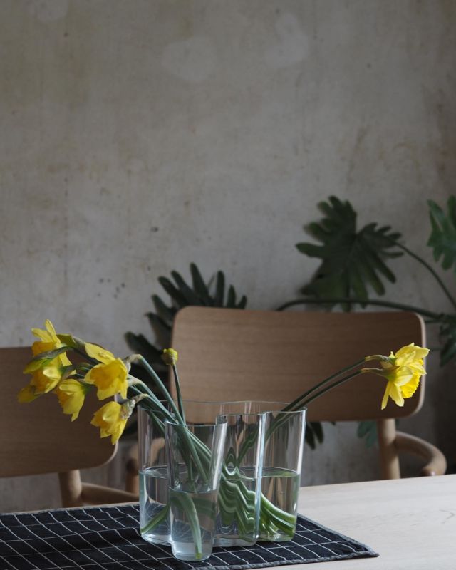 Daffodils from the garden. So very ready for it to feel like spring.