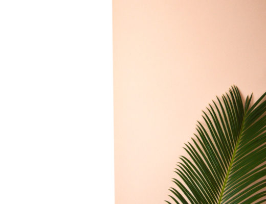 Urban Jungle Bloggers Plant pop | Hannah in the house