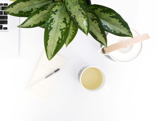 Chinese evergreen - air purifying plant