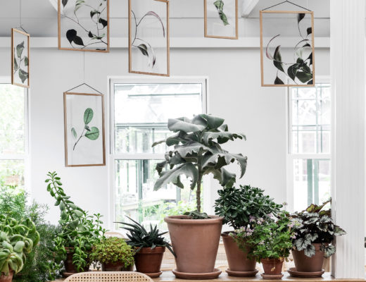 Botanical prints and Scandinavian frames. Moebe presents Floating Leaves by Norm Architects and Paper collective