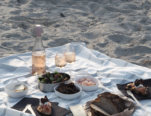 A picnic on the beach in Malmö